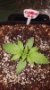 20171122_153903.jpg