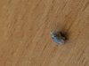 20171124_234634.jpg