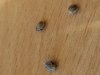 20171124_234656.jpg