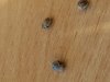 20171124_234658.jpg