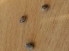 20171124_234659.jpg
