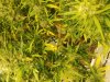20171127_094800.jpg