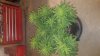 20171127_214143.jpg