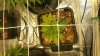 20171129_092413.jpg