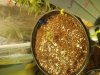 20171203_140716.jpg 20171203_140716.jpg