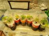 20171206_080553.jpg