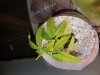 20171206_080621.jpg