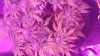 20171212_083716.jpg