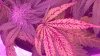 20171212_101043.jpg