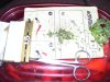 100_8280.jpg