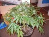 DSCN0850.jpg