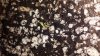 20171215_190632.jpg