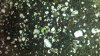 20171215_210330.jpg