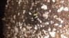 20171216_100928.jpg