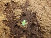 20171213_062418.jpg