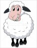 sheep2.jpg