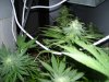 100_8475.jpg