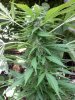 20120924140644.jpg