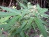 20120924141200.jpg