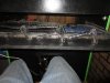IMG_5519.jpg