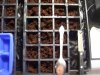 100_8603.jpg