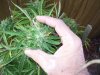 100_8610.jpg