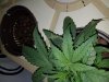 20180113_225926.jpg
