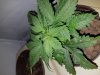 20180113_225857.jpg
