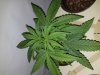 20180113_225840.jpg