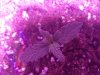 20180119_102234.jpg