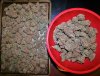 cremebubblyharvest2.jpg
