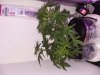 20180121_080724.jpg
