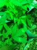 IMG_20180123_160634.jpg