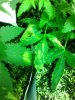 IMG_20180123_155625.jpg
