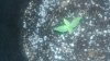 20180123_090355.jpg