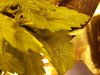 20180125_132148.jpg