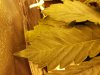20180125_132123.jpg