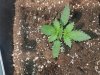 20180126_160525.jpg