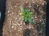 20180126_160519.jpg