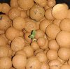 IMG_20180128_212741.jpg
