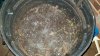 20180129_072719.jpg