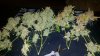 20180127_152554.jpg