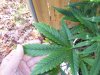 100_8633.jpg