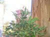 100_8635.jpg