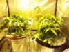 20121124_002336.jpg 20121124_002336.jpg
