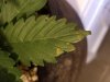 20180204_123535.jpg