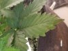 20180204_123201.jpg