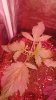 20180204_151919.jpg