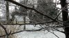 IMG_20180207_110402166.jpg