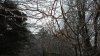 IMG_20180207_110226150.jpg